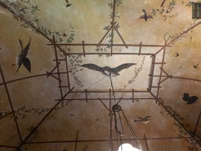 Altri volatili li troviamo invece dipinti sul soffitto...